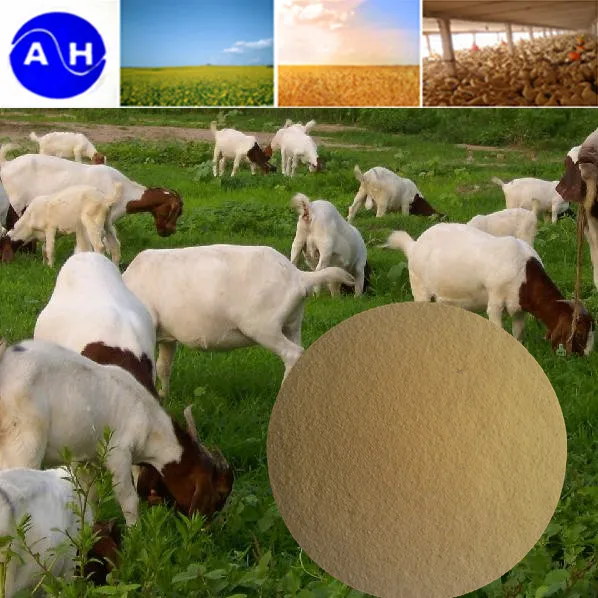 Dairy Cattle Feed Additive Dairy Cows It Reduces Feed Costs Supplements