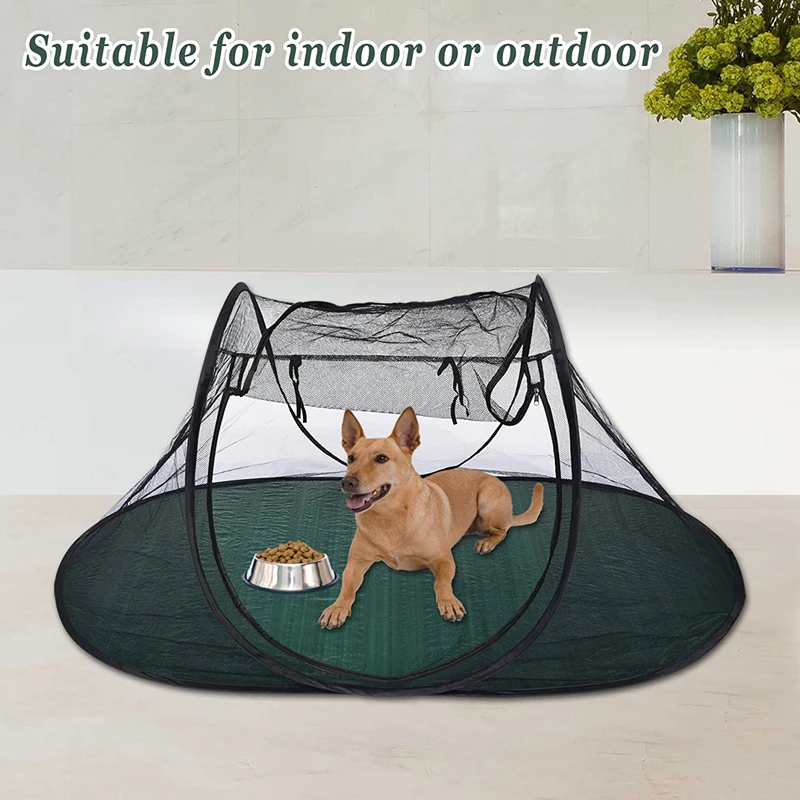pet for fun playpen