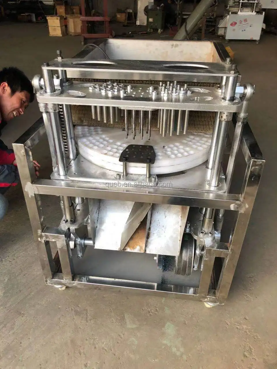 Industrial Stainless Steel Dates Pit Removing Machine Cherry Pitting ...