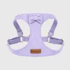 Harnais violet