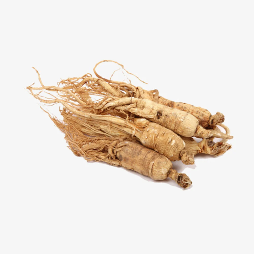 Panax ginseng root extract