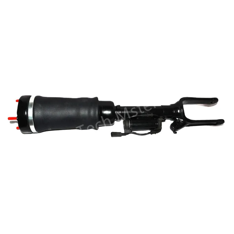 W251 air suspension (6)