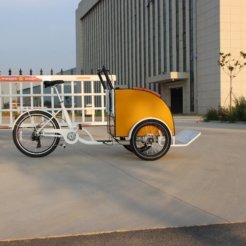 No Electric Wheels Adult Cargo Bike Tricycle Bike Rickshaw Pedicab Pedal  Trike With Seats