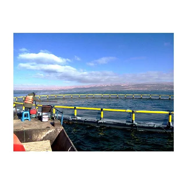 HDPE Plastic Fish Farming Tilapia Floating Net Circular Aquaculture Equipment Fishing Cage in the Sea