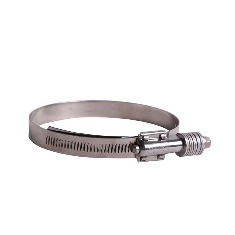 Stainless Steel Heavy Duty European Type Hose Clamp for Automotive
