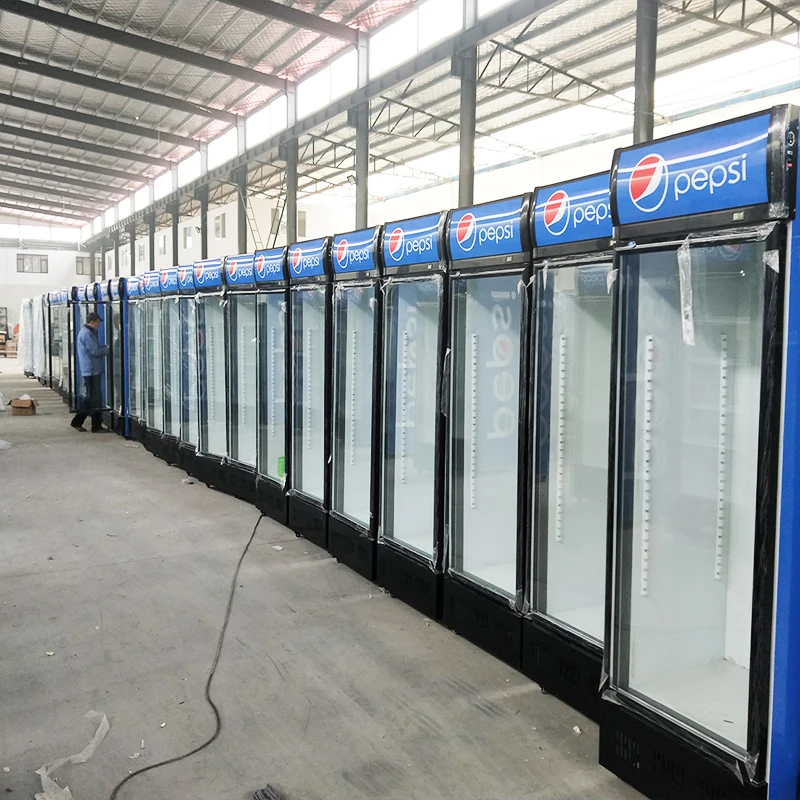 Pepsi double best sale door fridge