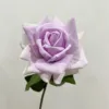 สีม่วงอ่อน