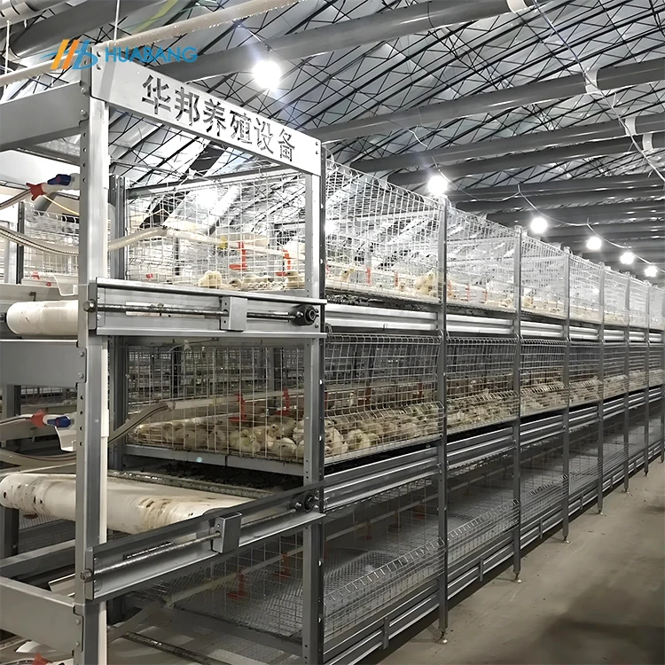 2025 Fully Automatic Latest Model Lowest Price H Type Chicken Cage