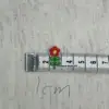 Little Red Flower