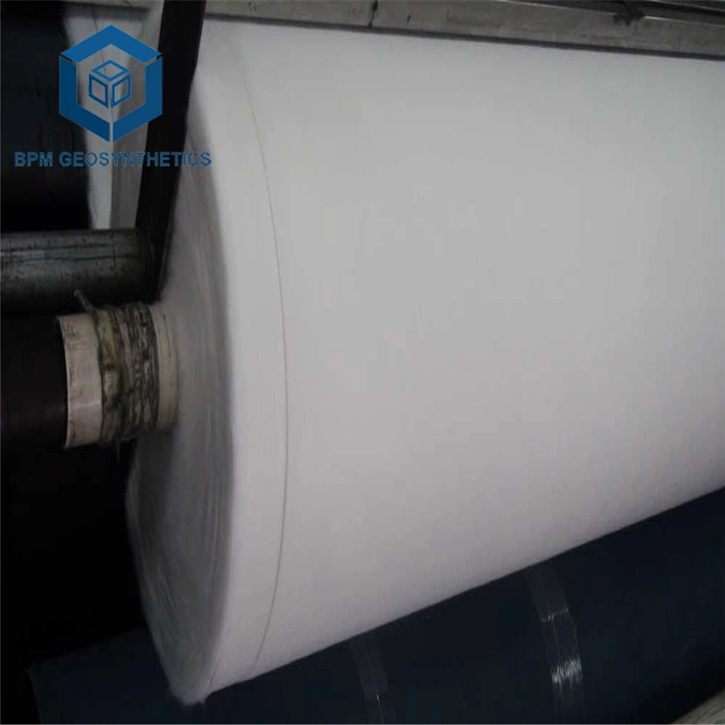 Soil Stabilization Geotextile Fabric Polyester Filament Continuous Geotextile Filter Cloth 200g 250g Geo Fabric for Driveway