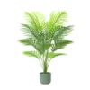 90cm Dypsis lutescens