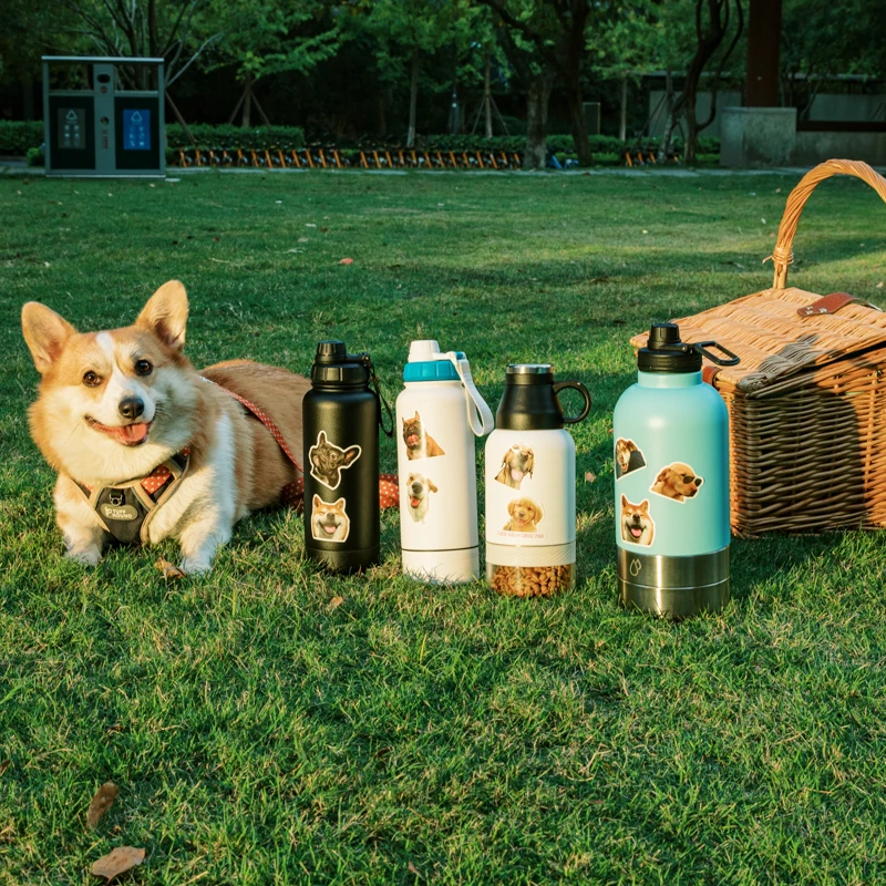 Everich 3 In 1 Multifunctional Design Stainless Steel Insulated Pet Feeding Dog Water Bottles