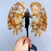 Ala dorata del guaritore