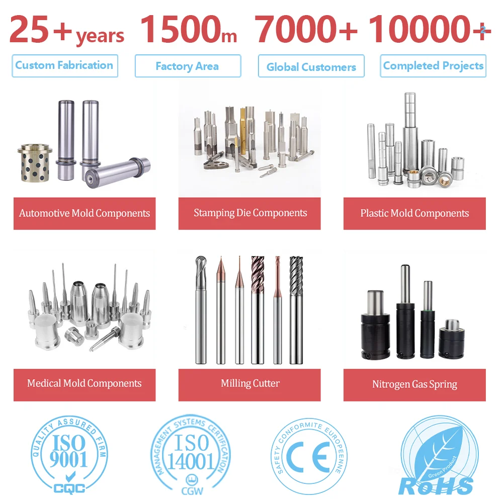 Interchangeable Date Stamp Insert for Injection Molds with Laser Engraved Markings Plastic Container Production