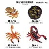 Ciclo de crecimiento de 2450 Scorpion [4 sets]