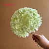 #8 hortensias de cabeza grande de color verde claro - 18 cm
