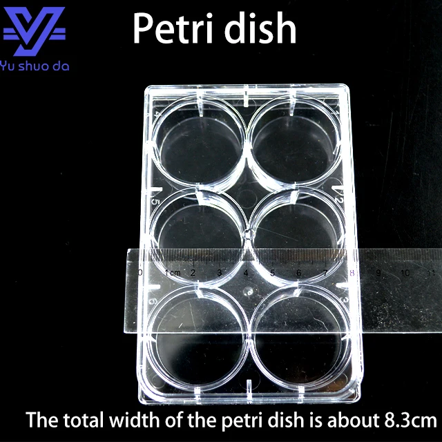 Clear Tissue Culture Plate with Lid
