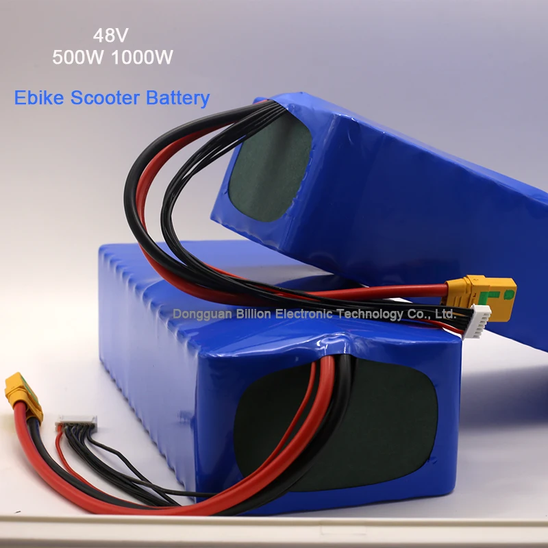 Long Distance Electric Bike Battery 500W/1000W 13S8P 48V 20Ah Lithium Ion  Battery With Bms
