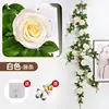 Carola Grande Vigne Rose - Blanc