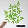 Middle branch, green