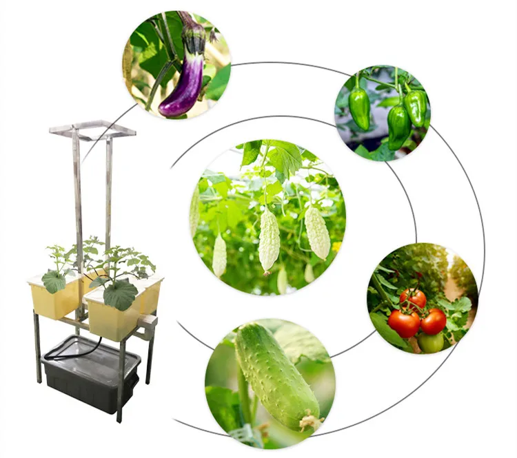 Dutch Bucket Plants Hydroponic Dutch Buckets With Lid And Net Pot 4