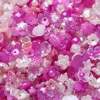 Rose purple