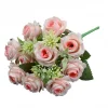 Champagne-pink