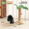 Green Orchid palm brush grip column