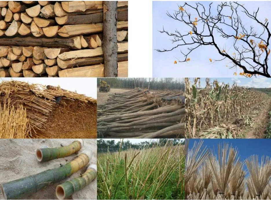 Raw material.png