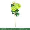 ผลไม้สีเขียว