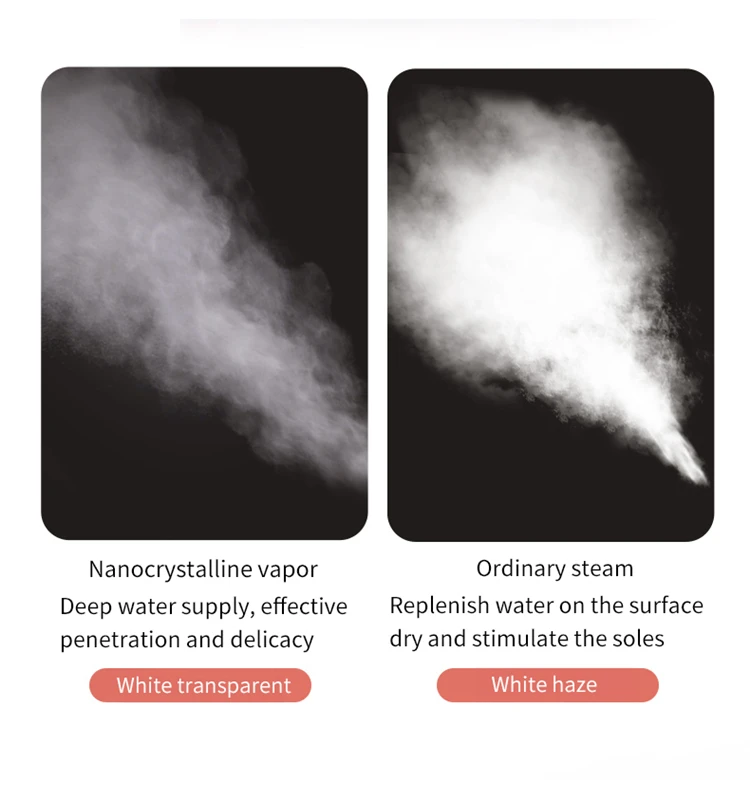 Facial Steamer
