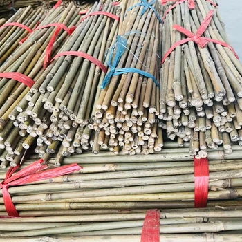 Dried Treated Bamboo Poles/canes/stakes Poles For Bamboo Raw Garden Plant Support