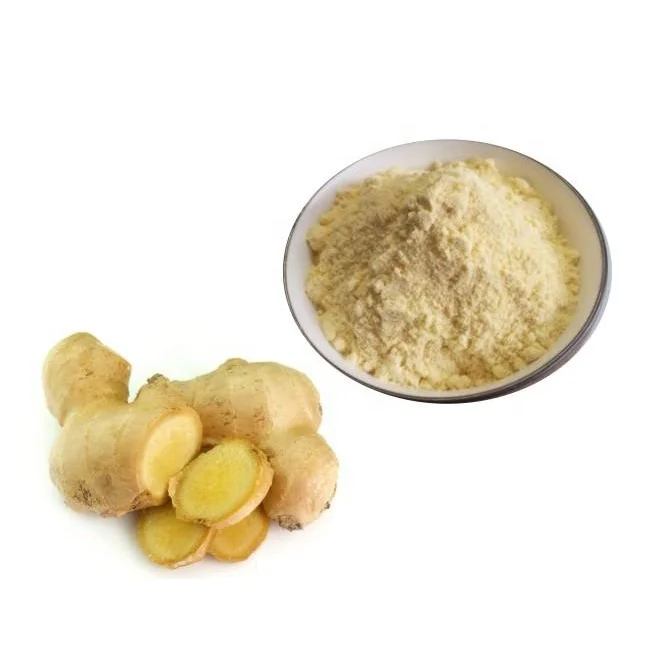 Food Grade Natural High Purity Best Price Ginger Oil Flavor Powder Spices