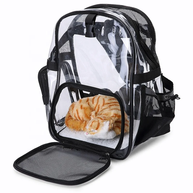 cat backpack transparent