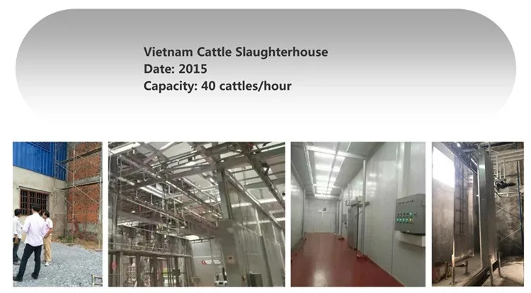 Sheep slaughterhouse plants 100 goat meat slaughterhouses per day