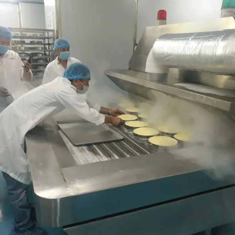 Industrial Quick Freezing Tunnel IQF Freezer Liquid Nitrogen Cooling Freezing Tunnel blast frozen