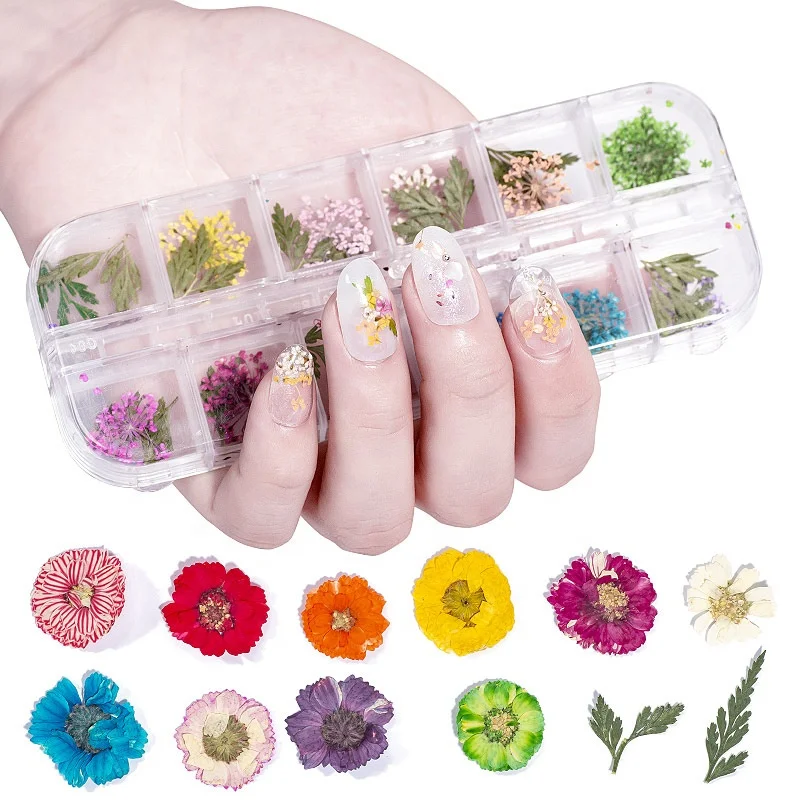 Nail Art Flowers Mix Dried Flowers Nail Art Stickers Nail Flowers Dry  Flowers Nail Art Dry Flowers for Nails