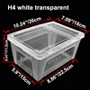 สีขาวโปร่งใส H4