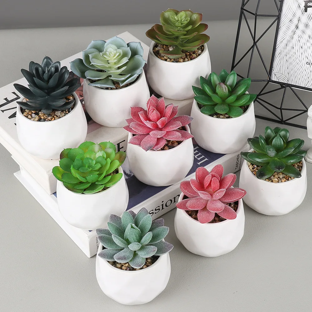 big plants pot ZZ Plant - Large (2-3' tall) Cement Grey Planter main image 1