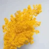 Old yellow