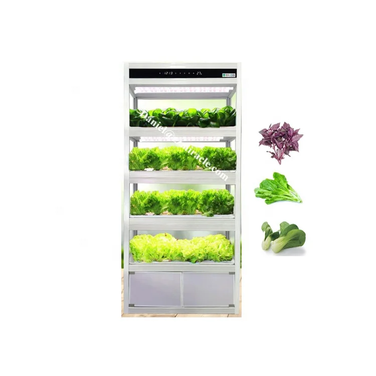 Home Hydroponic Growing Systems Hydroponic Machine for Growing Vegetable