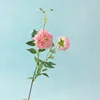 A single pink branch