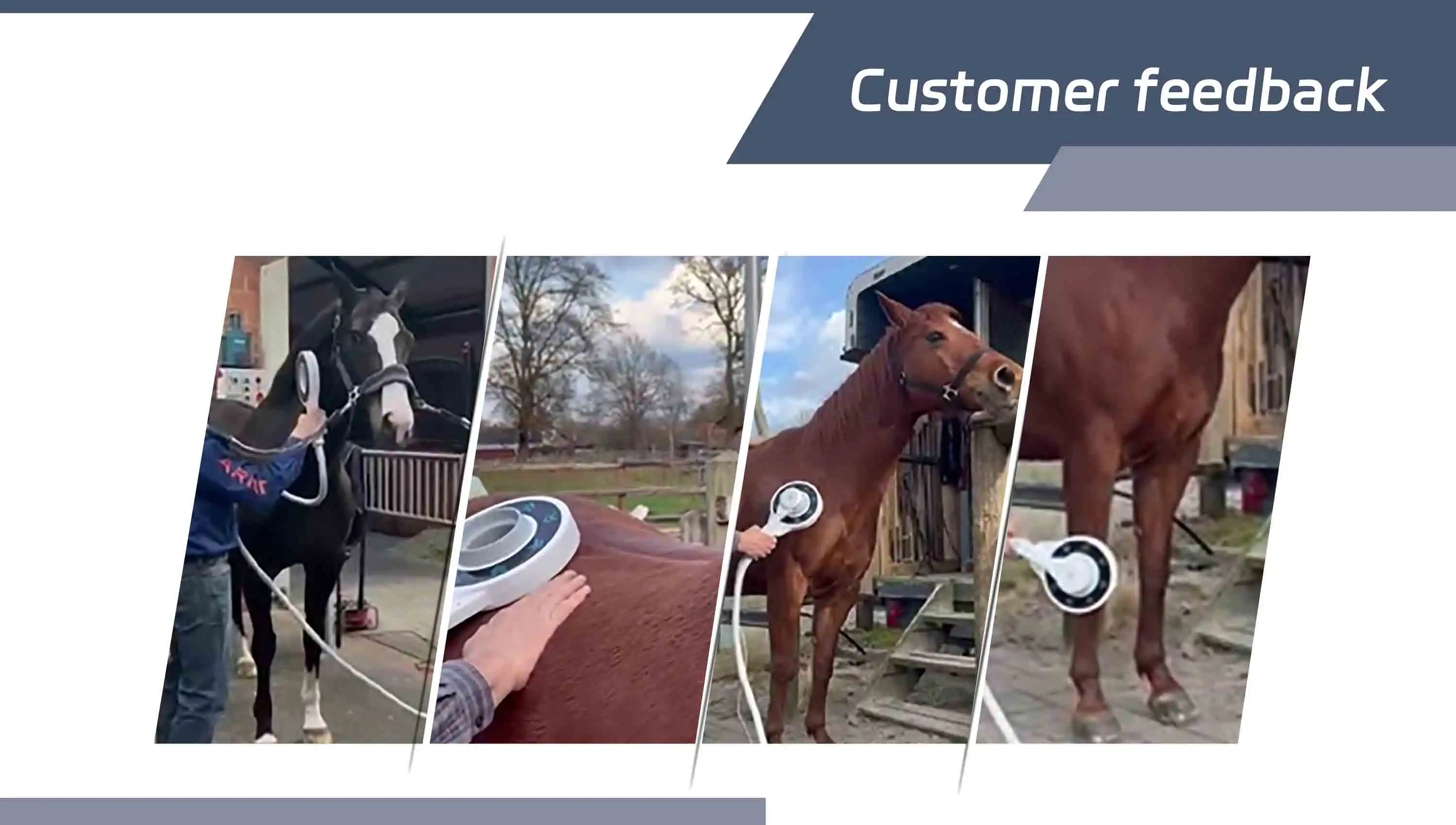 Latest Electro Wave Therapy Machine For Horses Pemf Loop Pain