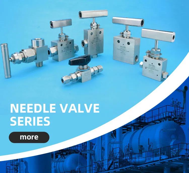 Fdlok Hex 6000psi Female Stainless Steel Needle Valve Buy Fdlok