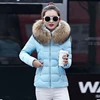 Blue + Brown Fur