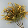 Arancione