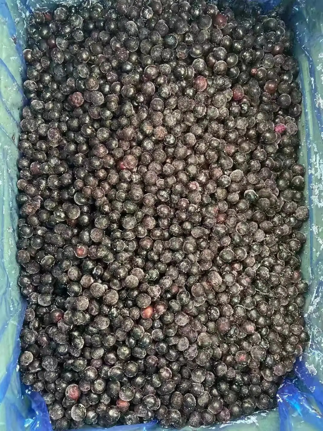 Donmuş böyük qarağat IQF böyük qarağat Çin təchizatçısı donmuş meyvə donmuş böyük qarağat IQF böyük qarağat toptan satışı beynəlxalq distributorlar üçün