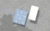 baby blue paper bag