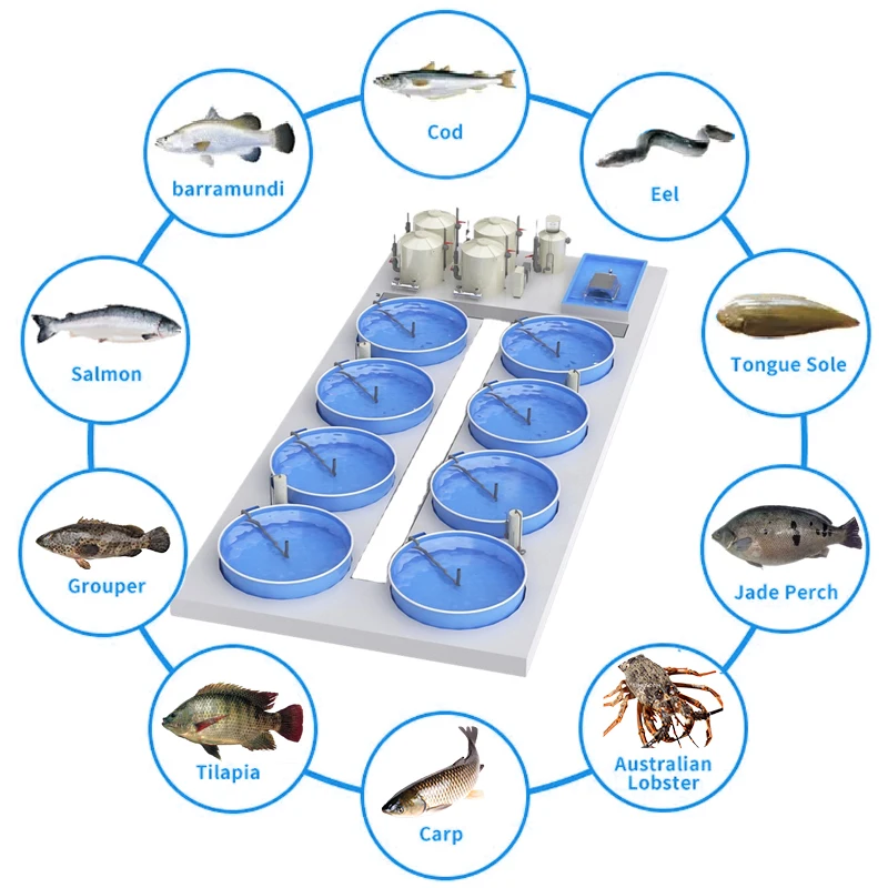 Equipamento para cultivo de trutas da RAS Aquaculture Systems