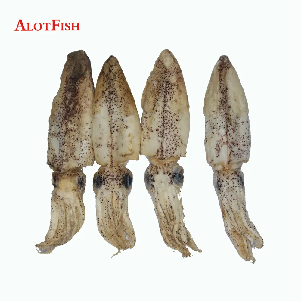 Freeze Dried Squid Fishing Bait Fishing Lure Buy Squid Fishing Bait